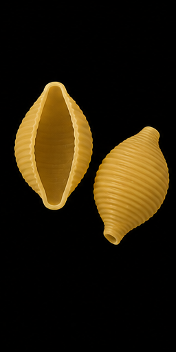 conchiglia